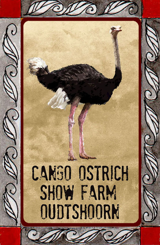 Cango Ostrich Show Farm Magnet 2