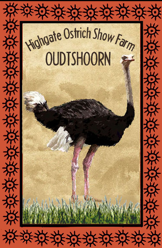 Highgate Ostrich Show Farm Magnet 19