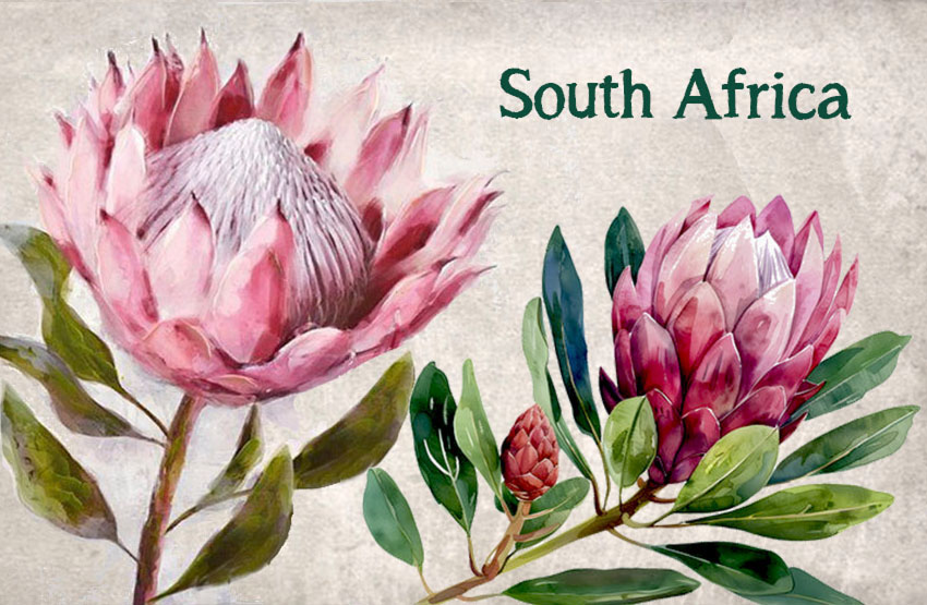 General South Africa Magnet 2