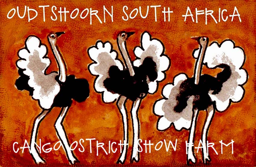 Cango Ostrich Show Farm Magnet 3