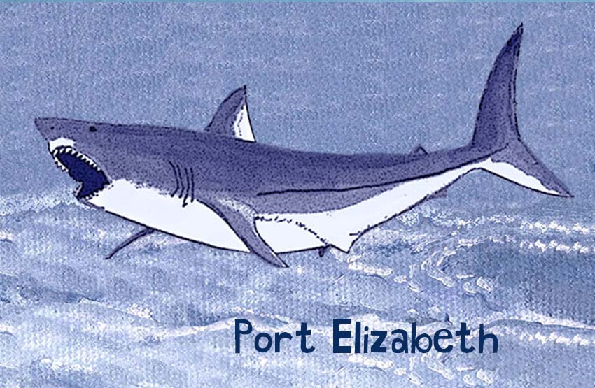 Product showcase image from staged upload