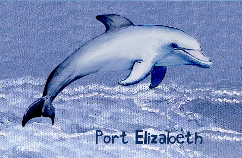 Product showcase image from staged upload