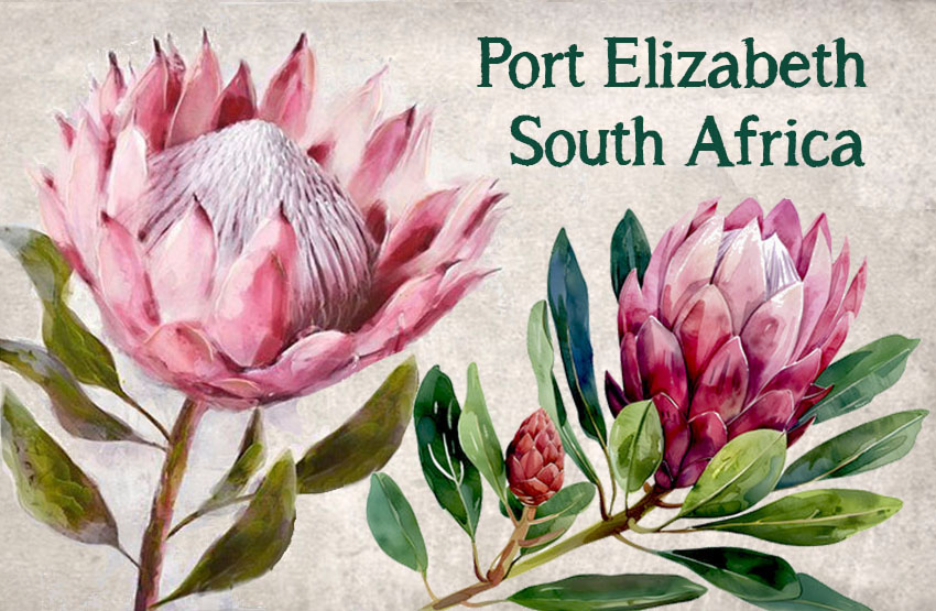 Product showcase image from staged upload