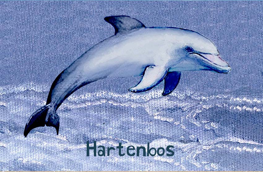 Hartenbos Magnet 39