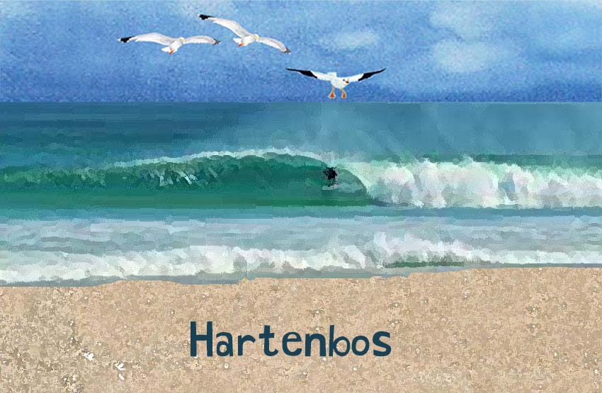 Hartenbos Magnet 42