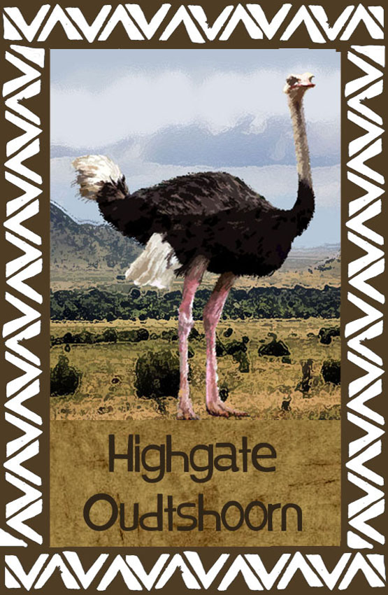Highgate Ostrich Show Farm Magnet 26