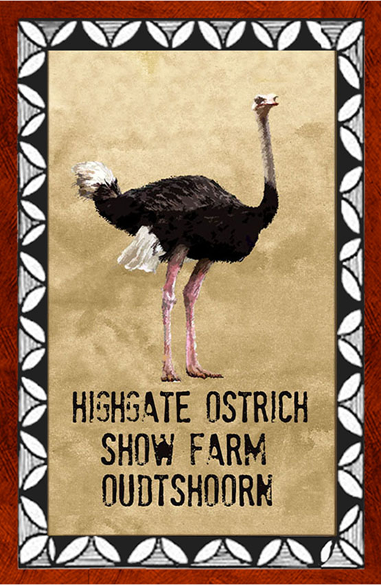Highgate Ostrich Show Farm Magnet 27