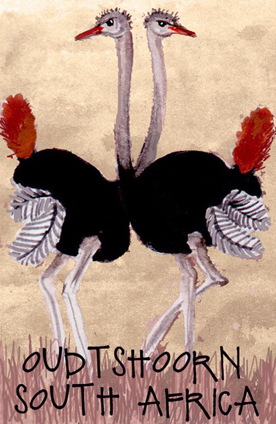 Oudtshoorn Magnet 14