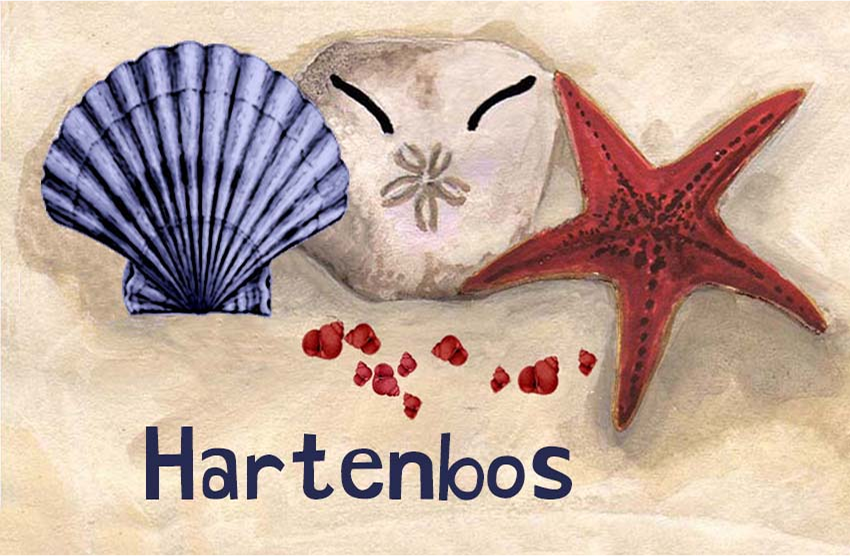 Hartenbos Magnet 49