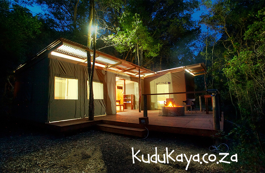 Kudu Kaya Magnet 12