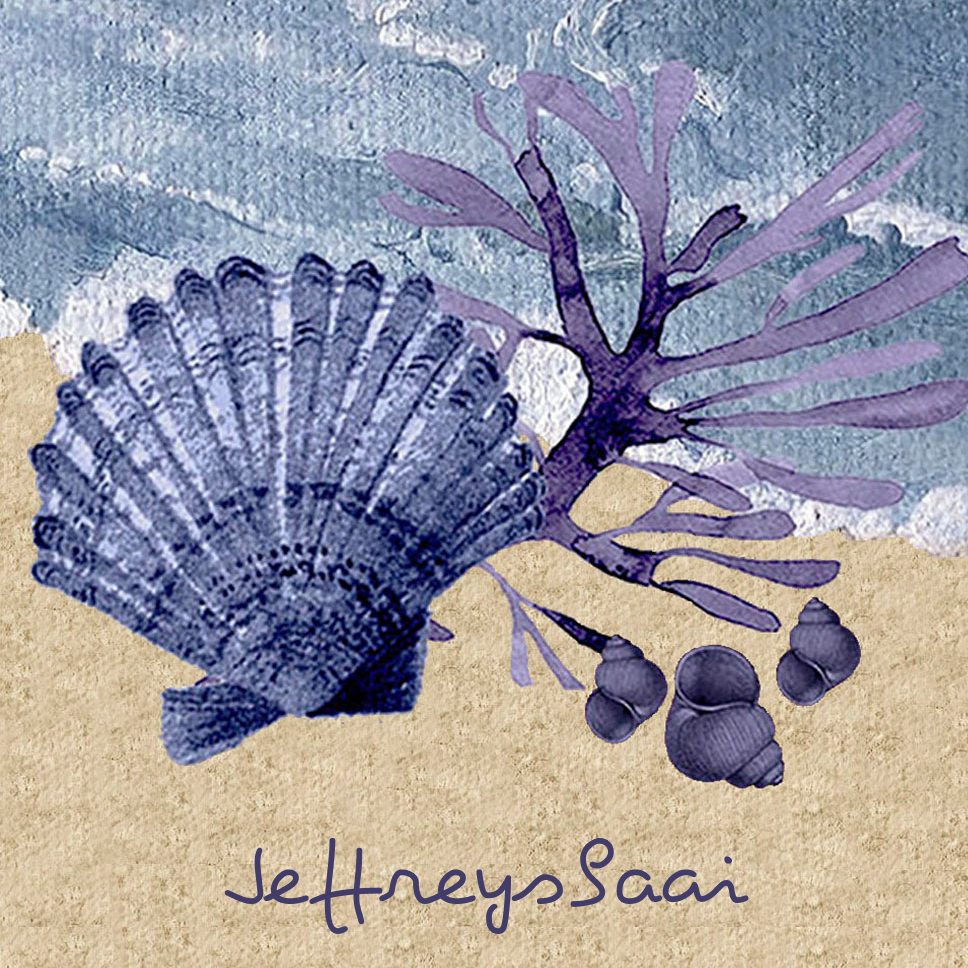 Jeffreysbaai Coaster 7