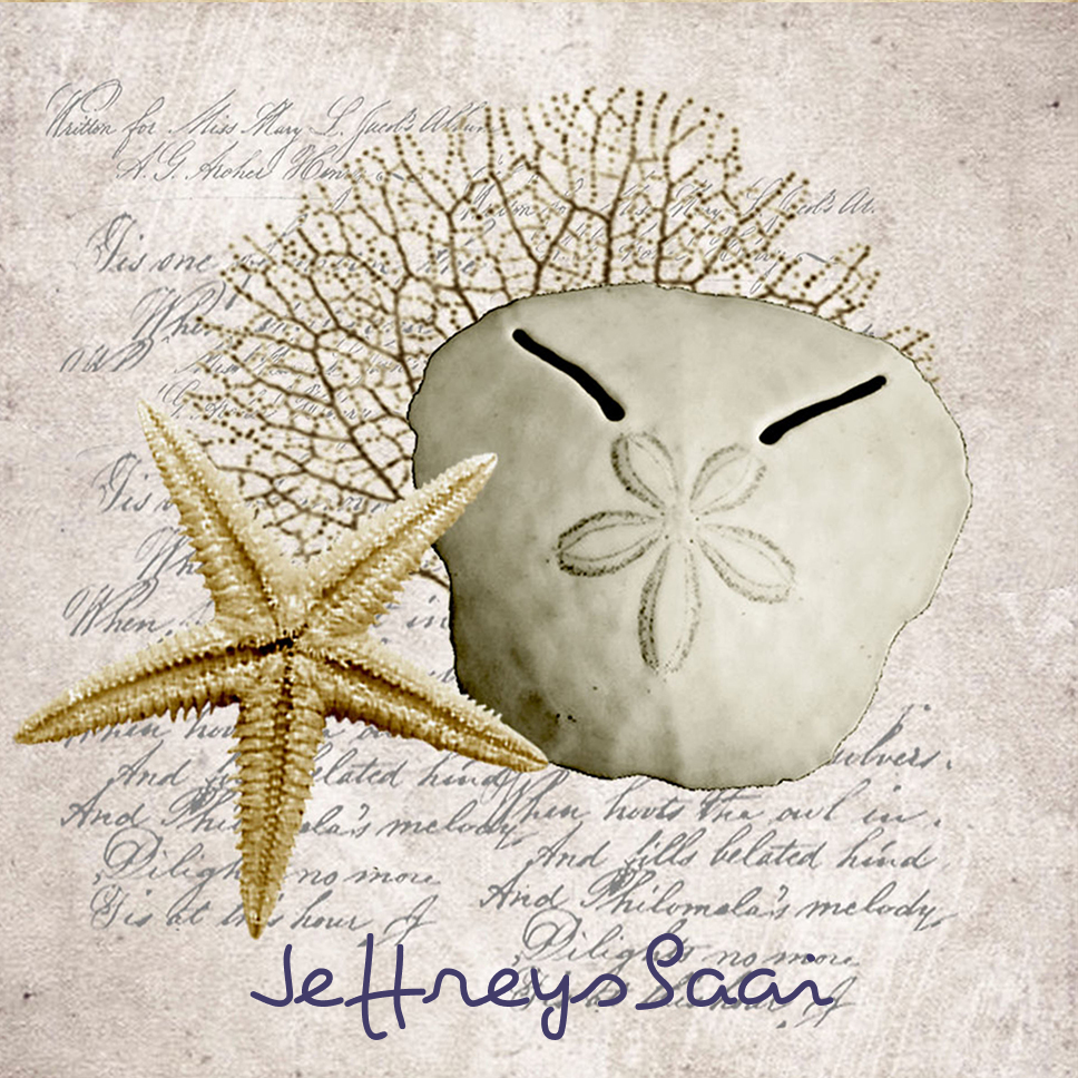 Jeffreysbaai Coaster 25