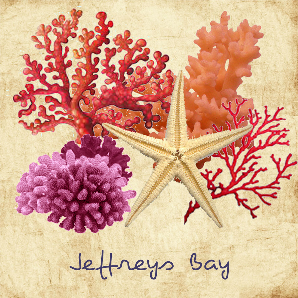 Jeffreys Bay Coaster 26