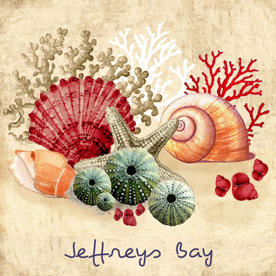 Jeffreys Bay Coaster 31