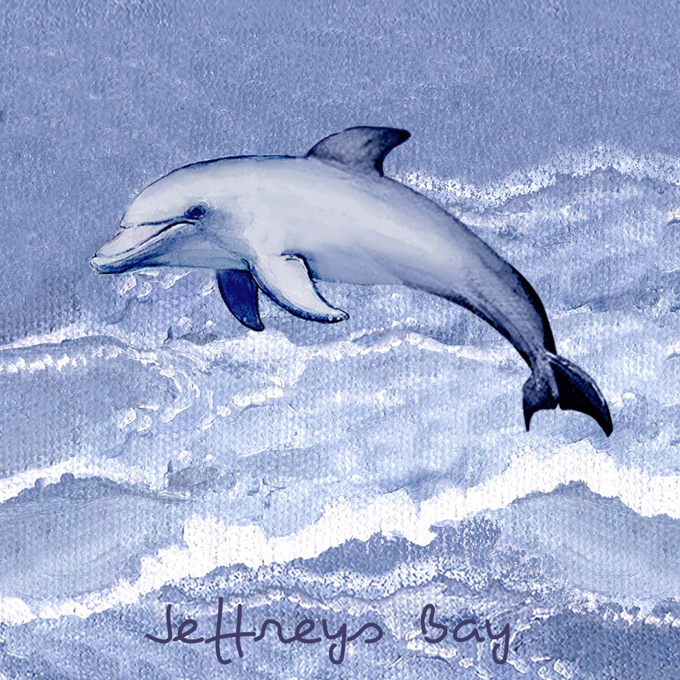 Jeffreys Bay Coaster 34