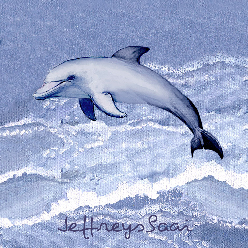 Jeffreysbaai Coaster 34