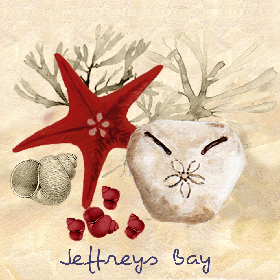 Jeffreys Bay Coaster 41