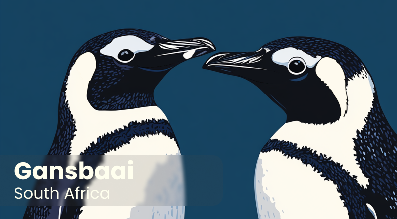 African Penguin Seabird Sanctuary Keyring 1