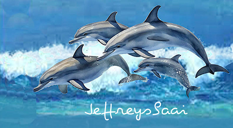 Jeffreysbaai Keyring 27