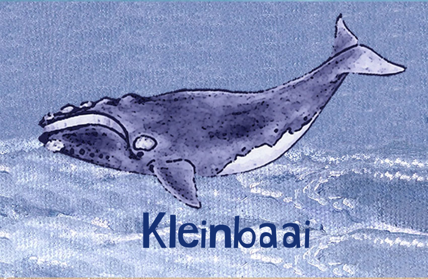 Kleinbaai Magnet 2