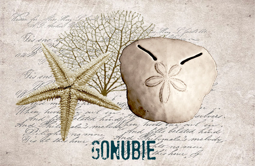 Gonubie Magnet 10