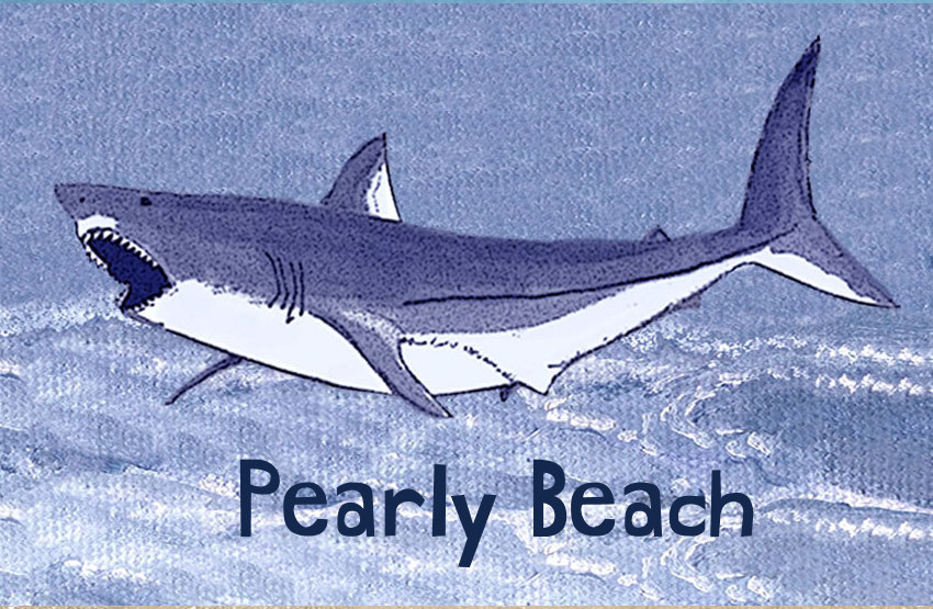 Pearly Beach Magnet 7