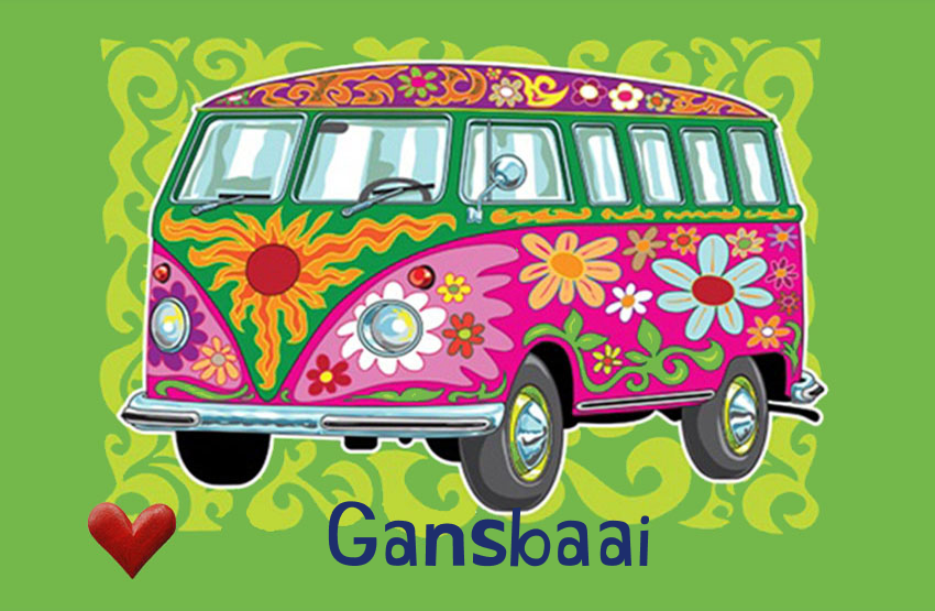 Gansbaai Magnet 8