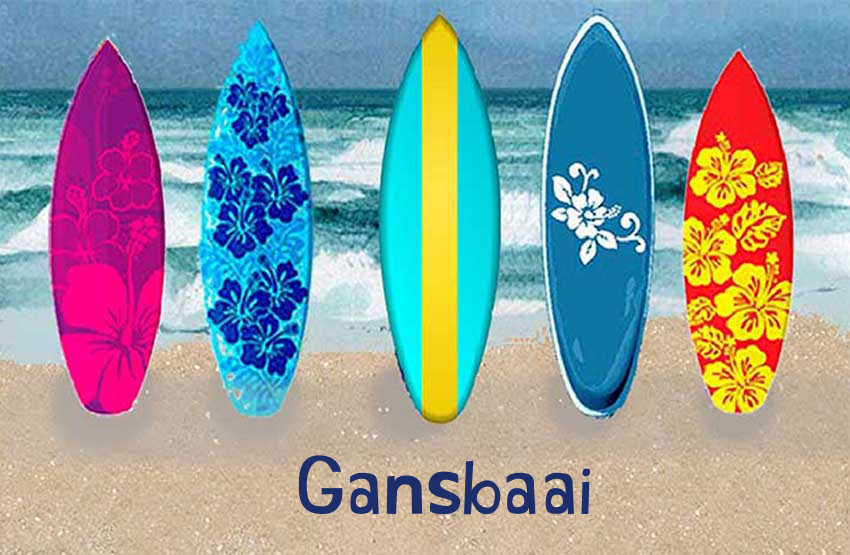 Gansbaai Magnet 20