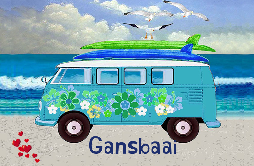 Gansbaai Magnet 25