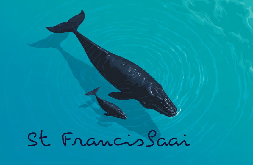 Product showcase image from staged upload