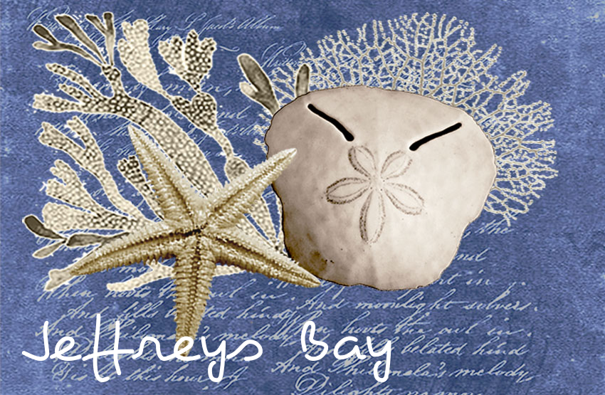 Jeffreys Bay Magnet 48