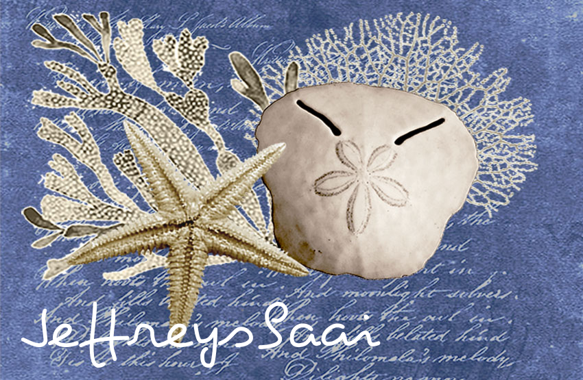 Jeffreysbaai Magnet 48