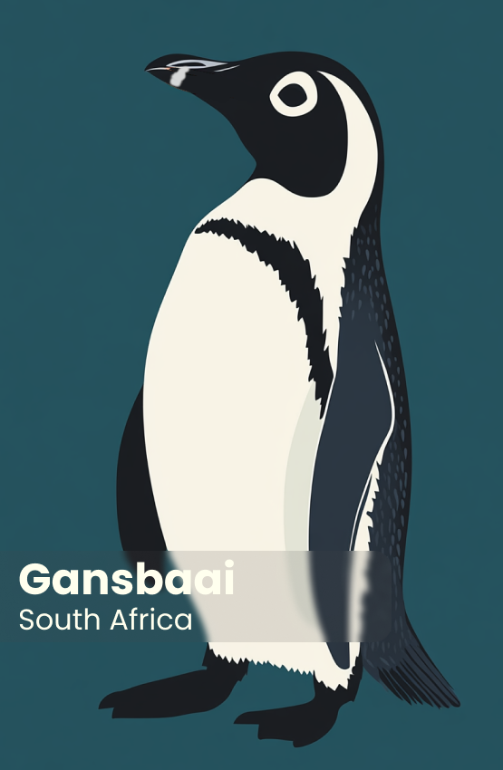 African Penguin Seabird Sanctuary Magnet 36