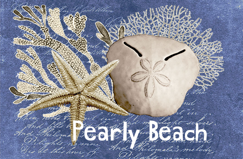 Pearly Beach Magnet 47