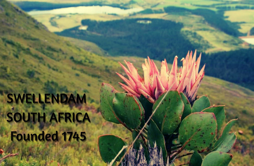Swellendam Magnet 7