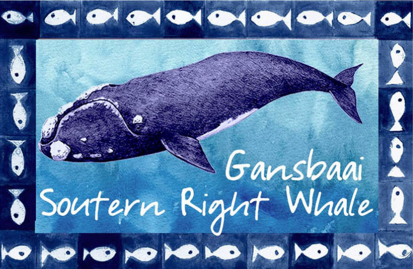 Great White House Magnet 50