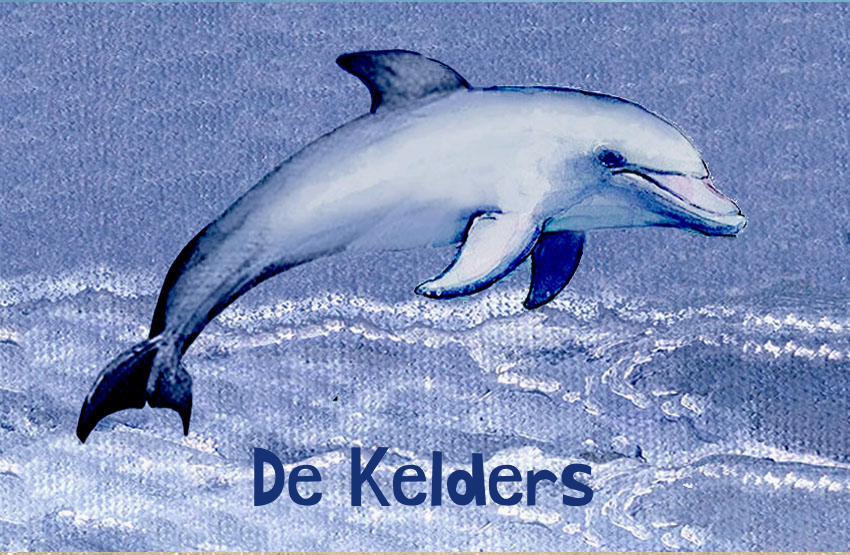 De Kelders Magnet 49