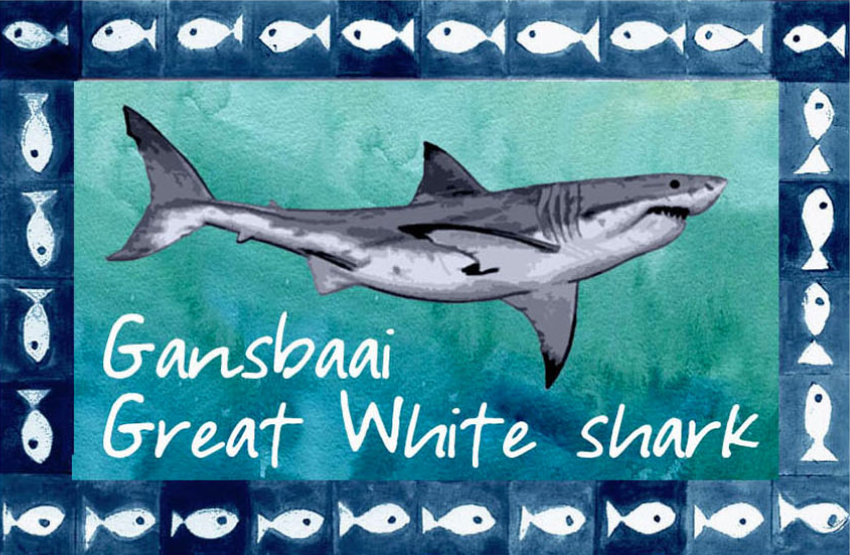 Great White House Magnet 51