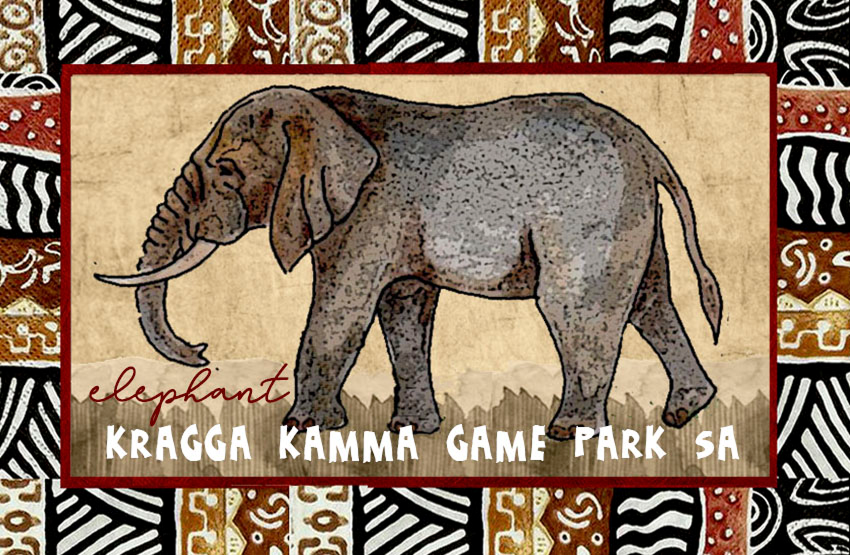 Kragga Kamma Game Reserve Magnet 7