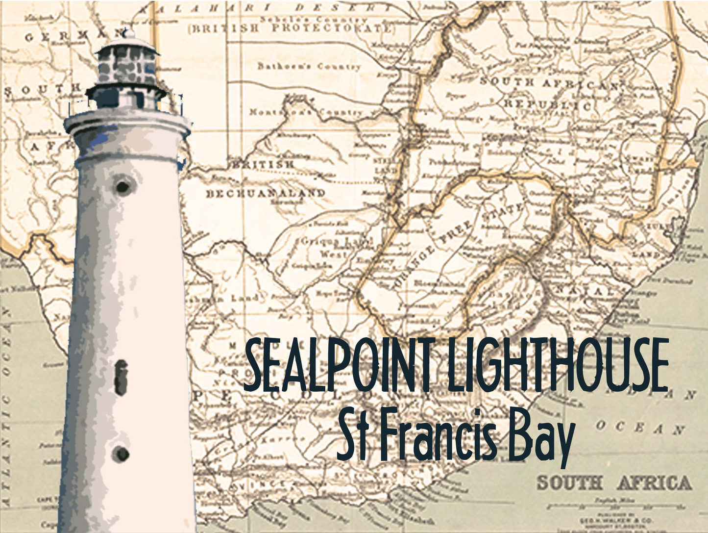 Product showcase image from staged upload