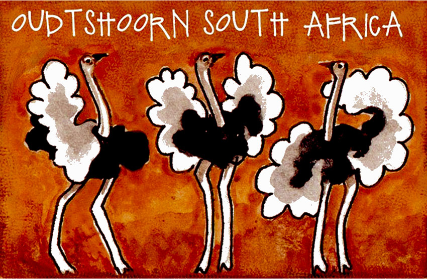 Highgate Ostrich Show Farm Magnet 15