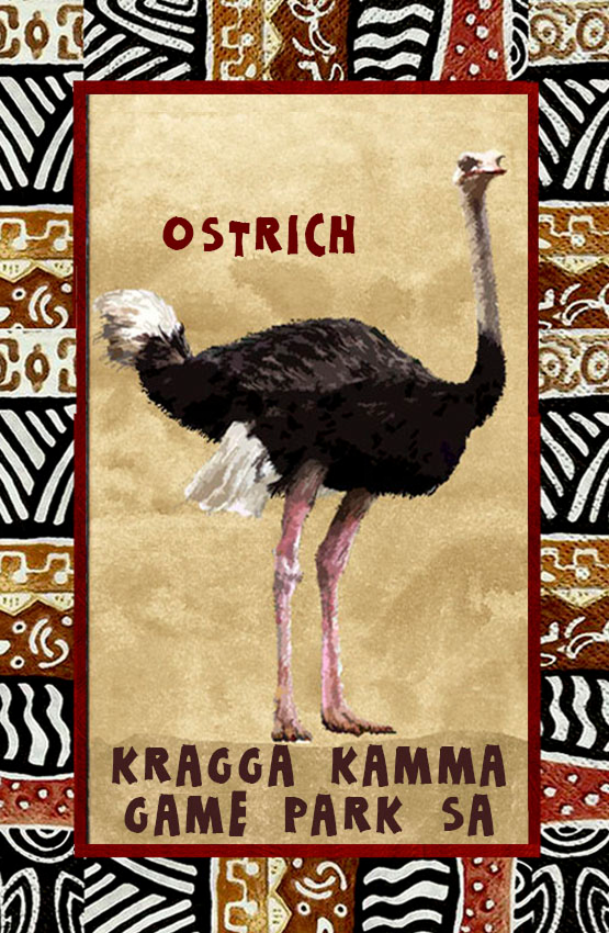 Kragga Kamma Game Reserve Magnet 14