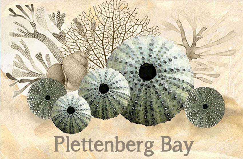 Product showcase image from staged upload