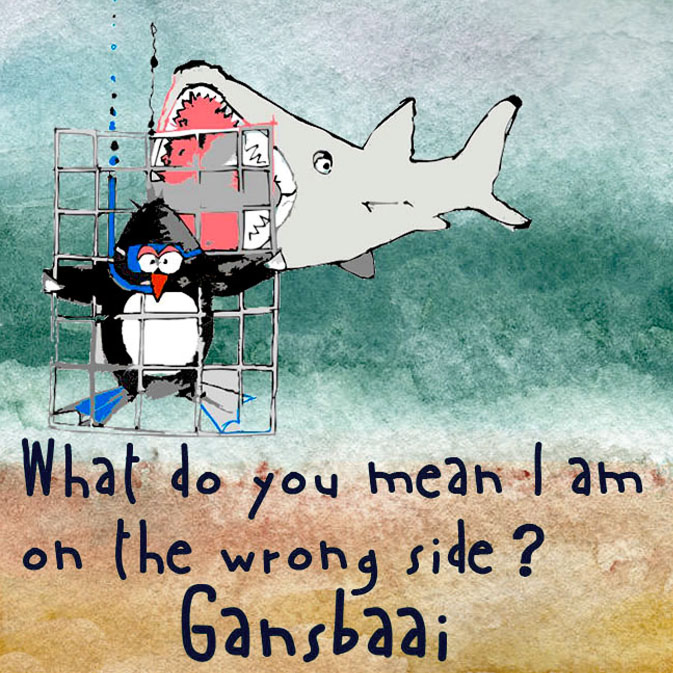 African Penguin Seabird Sanctuary Magnet 48