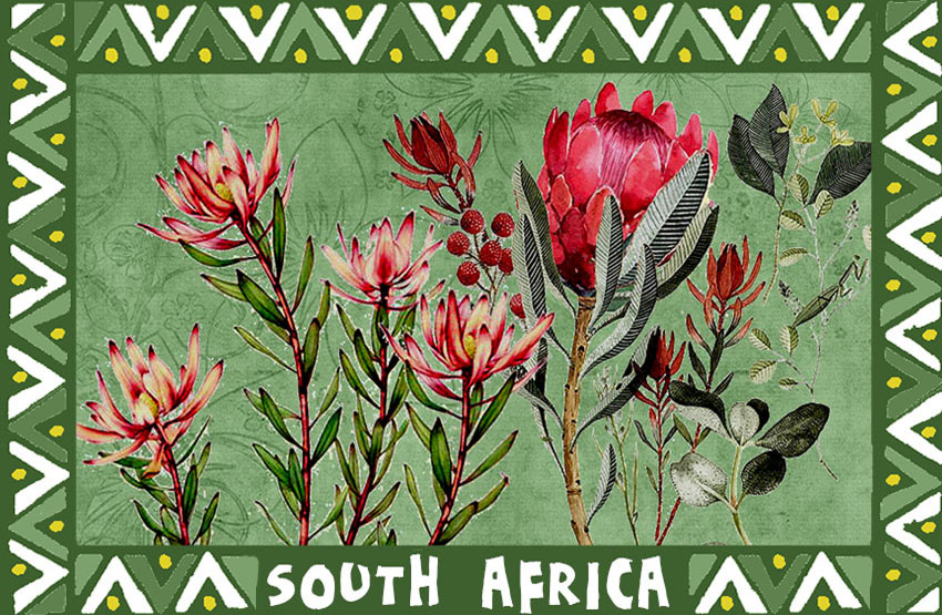 General South Africa Magnet 9