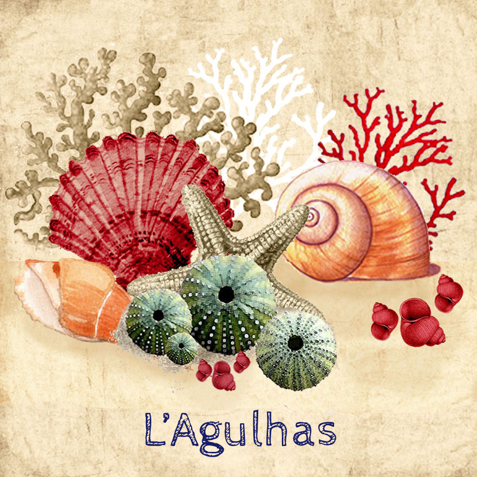 Lagulhas Coaster 4