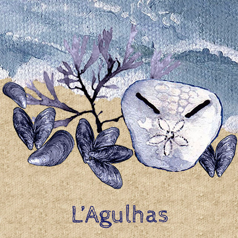 Lagulhas Coaster 5