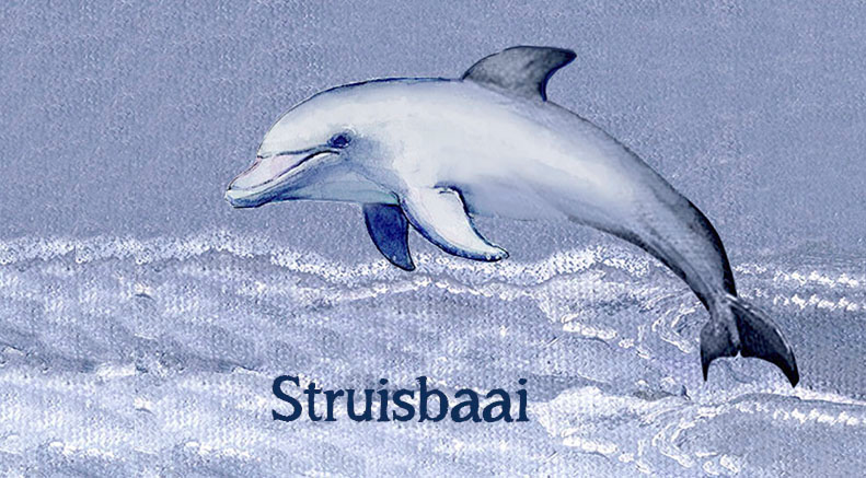 Struisbaai Keyring 8