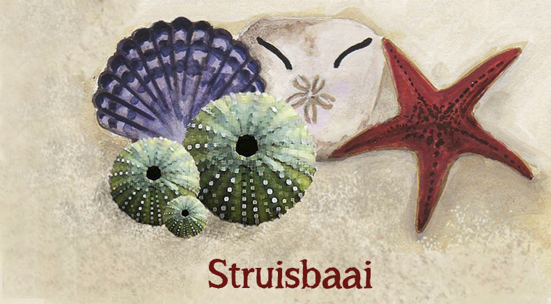 Struisbaai Keyring 23