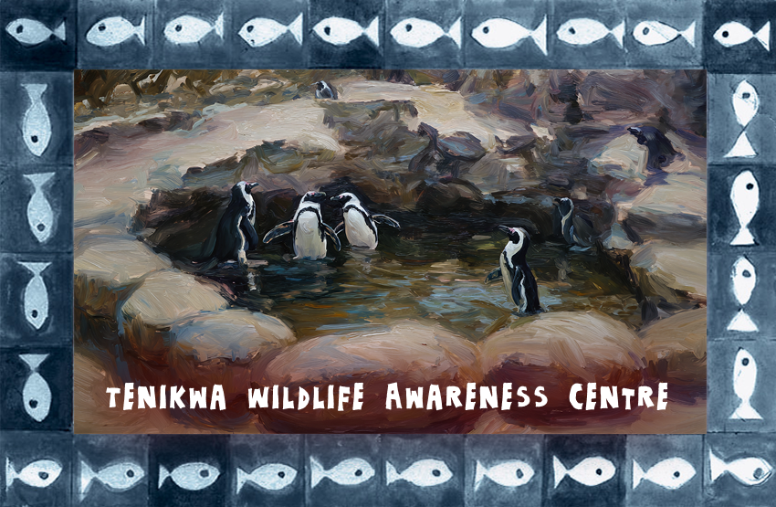 Product showcase image from staged upload